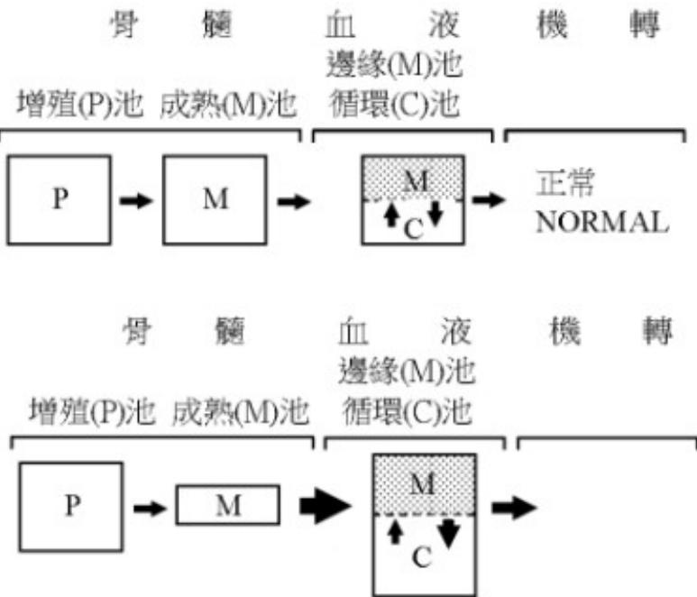 題目圖片
