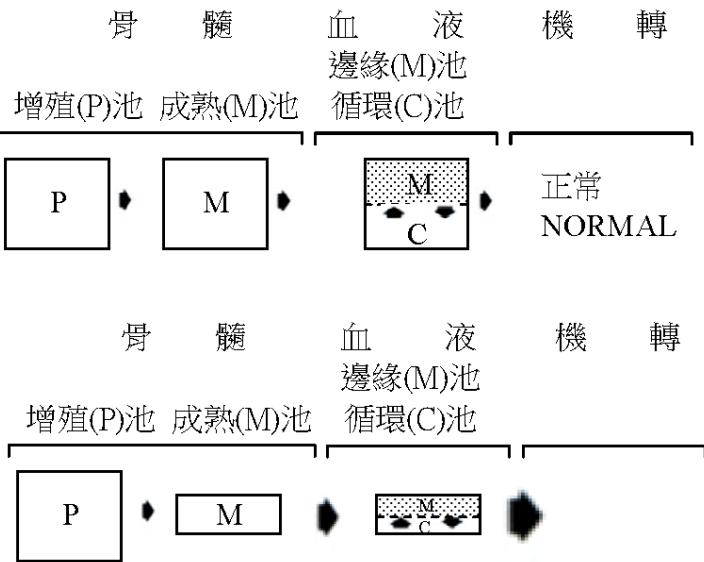 題目圖片