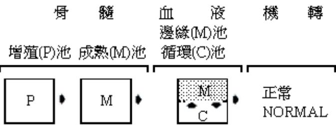 題目圖片 1/2