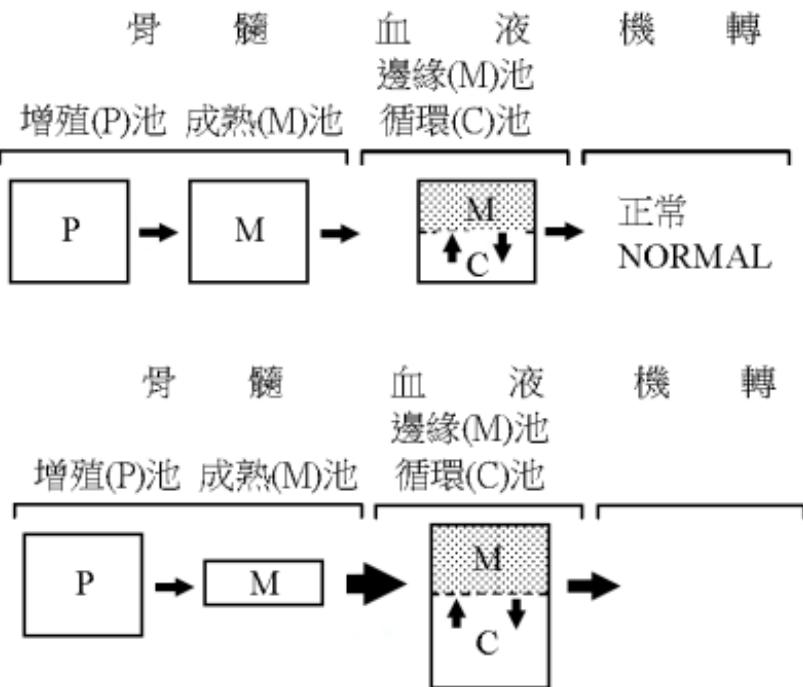 題目圖片