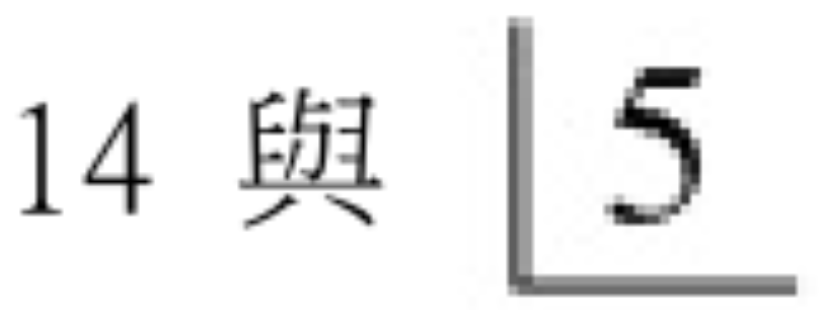 選項 B