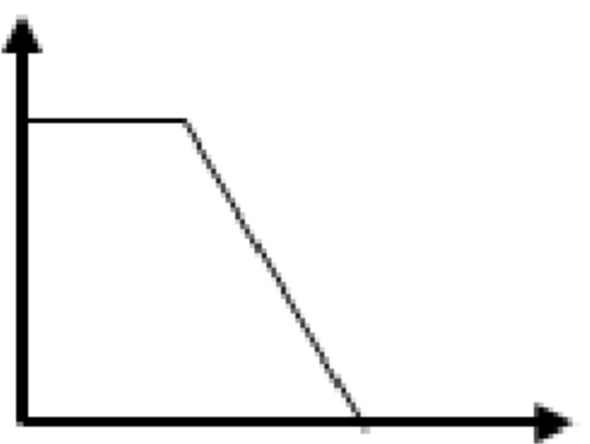 選項 D