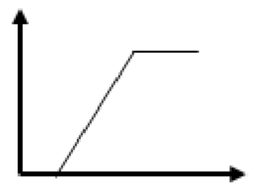 選項 C