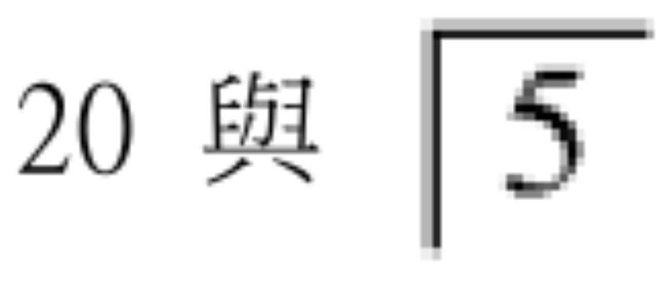 選項 C