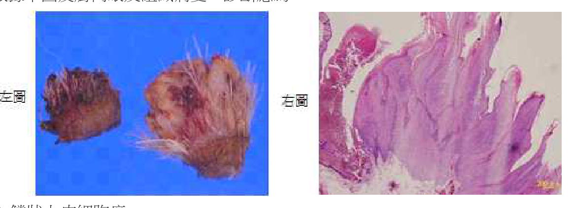 題目附圖