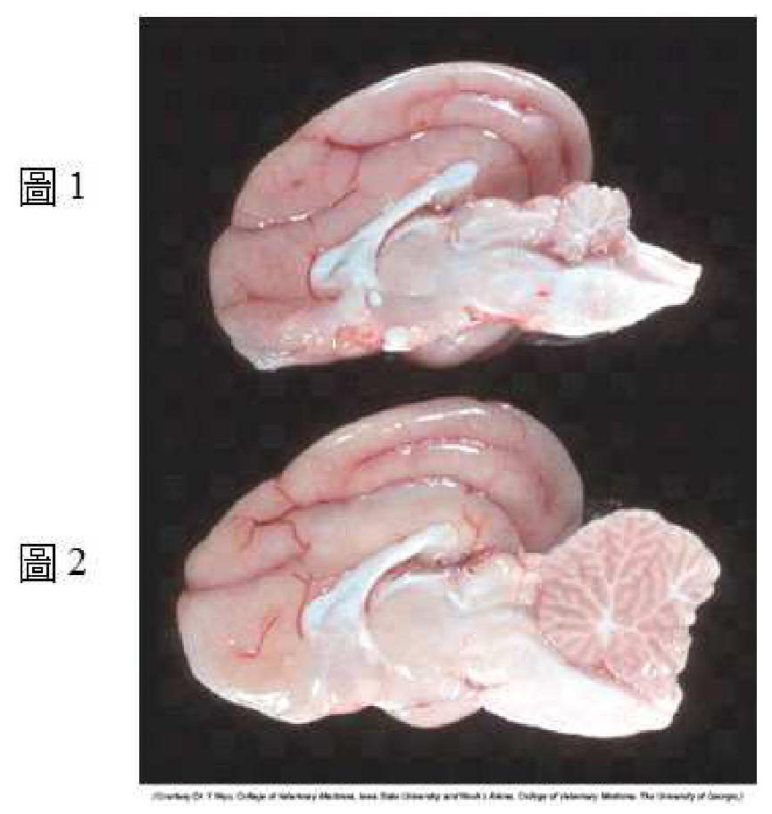題目附圖