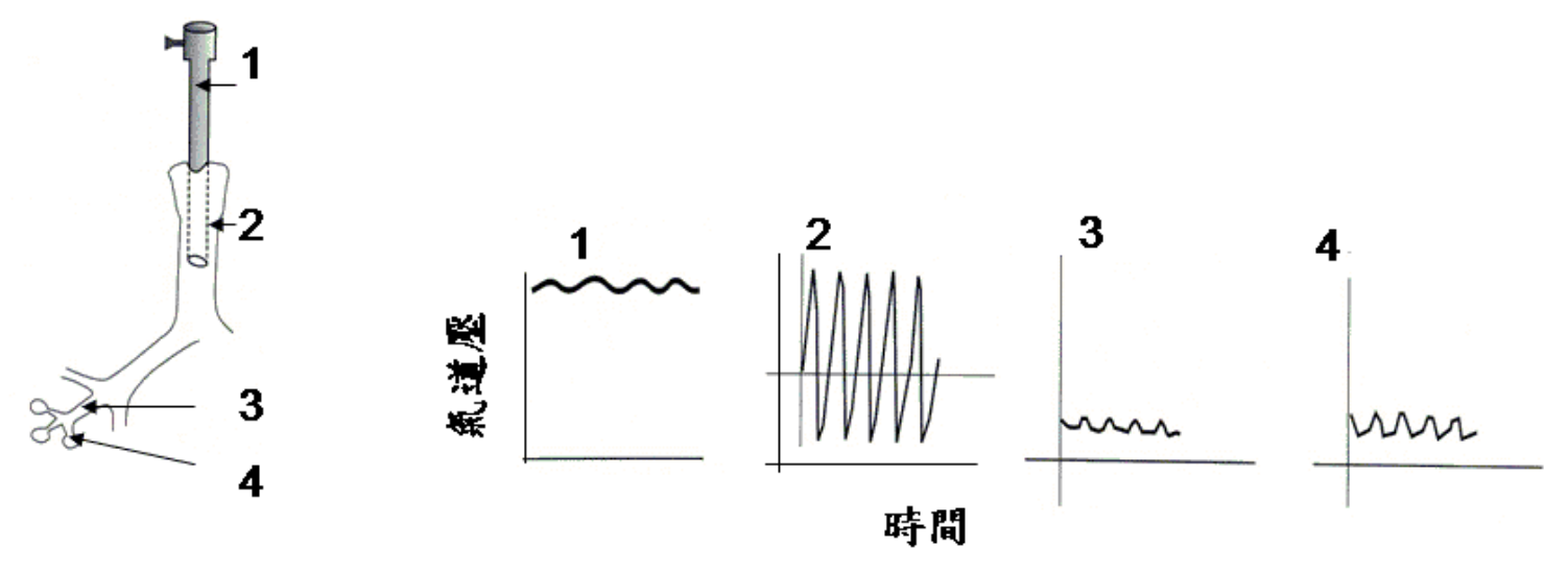 題目附圖