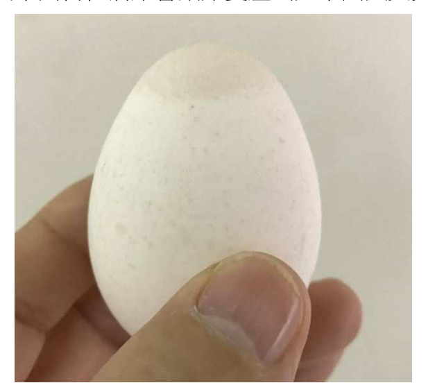 題目附圖