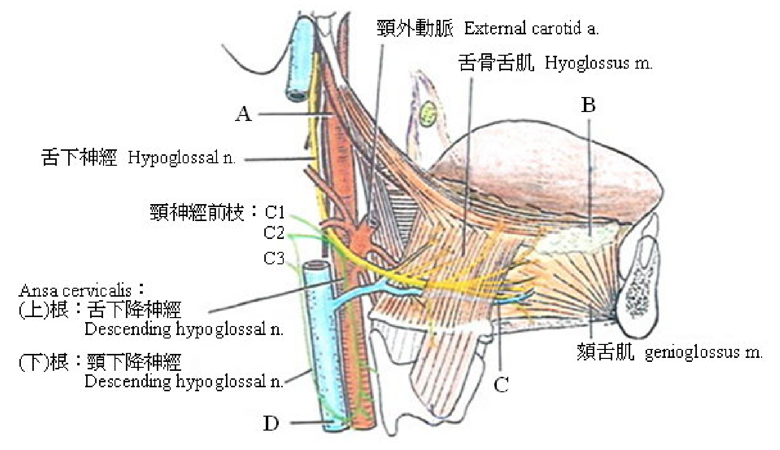 題目附圖