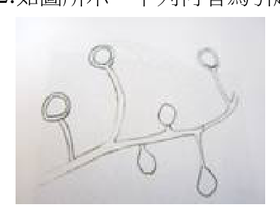題目附圖
