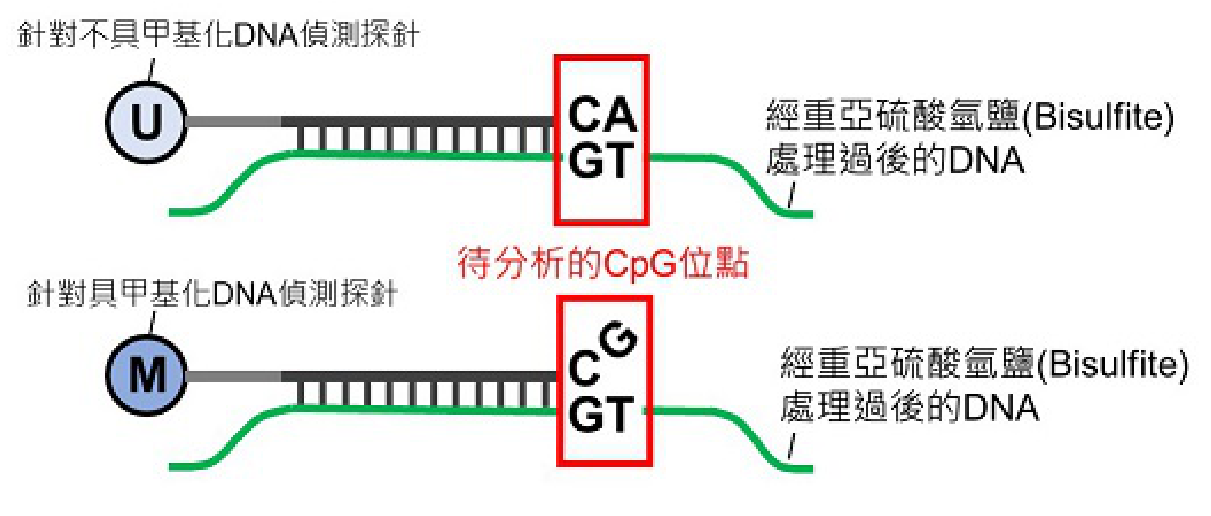 題目附圖