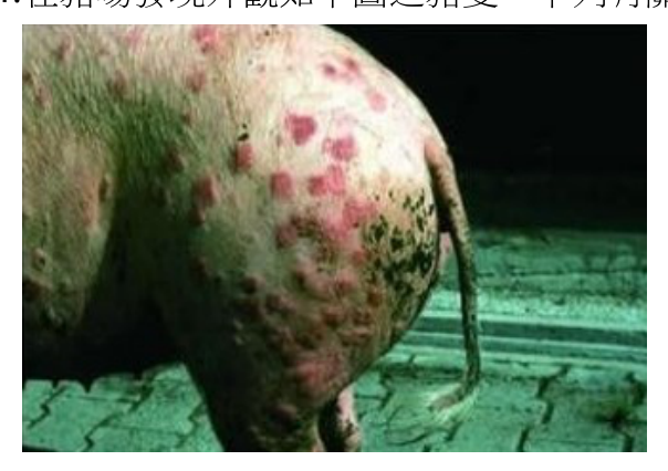 題目附圖