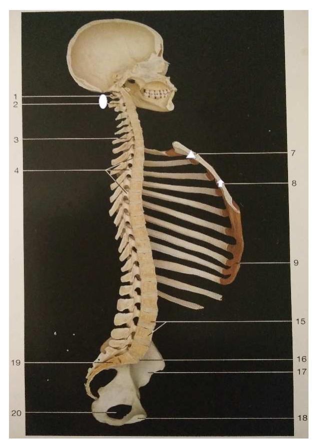 題目附圖