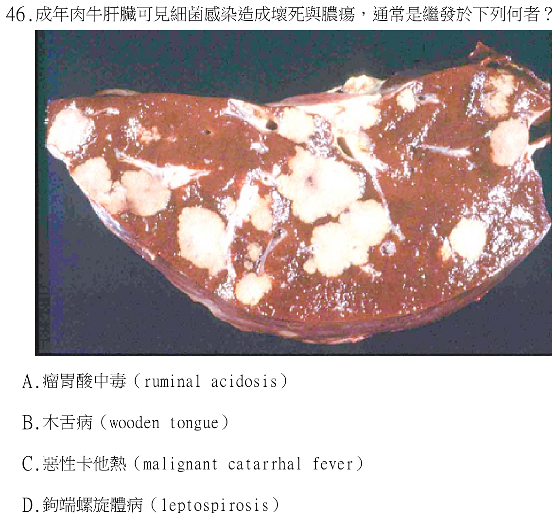 題目附圖