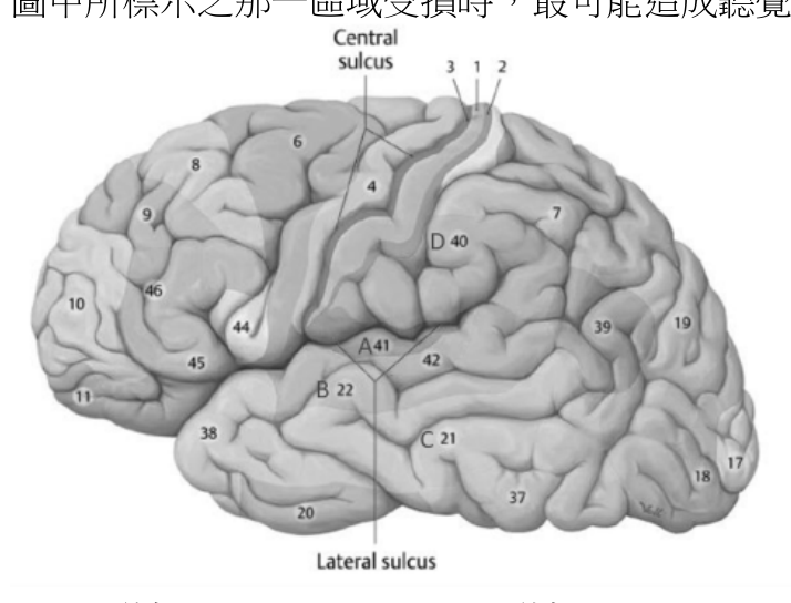 題目附圖