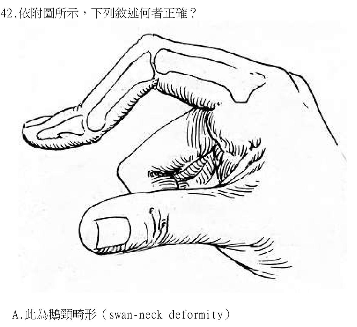 題目圖片