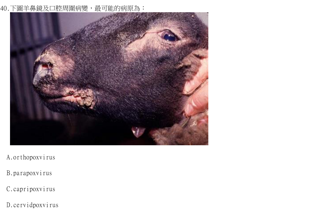 題目附圖