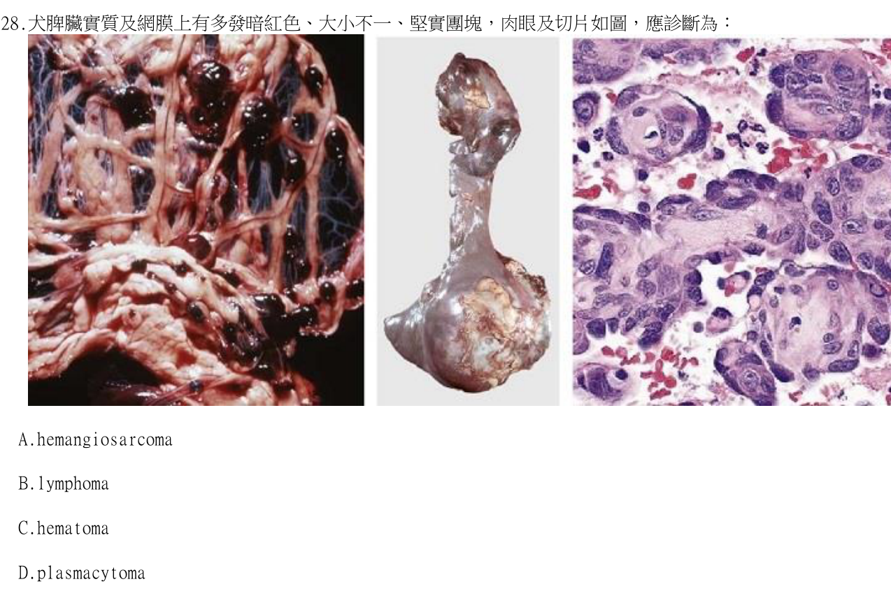 題目附圖
