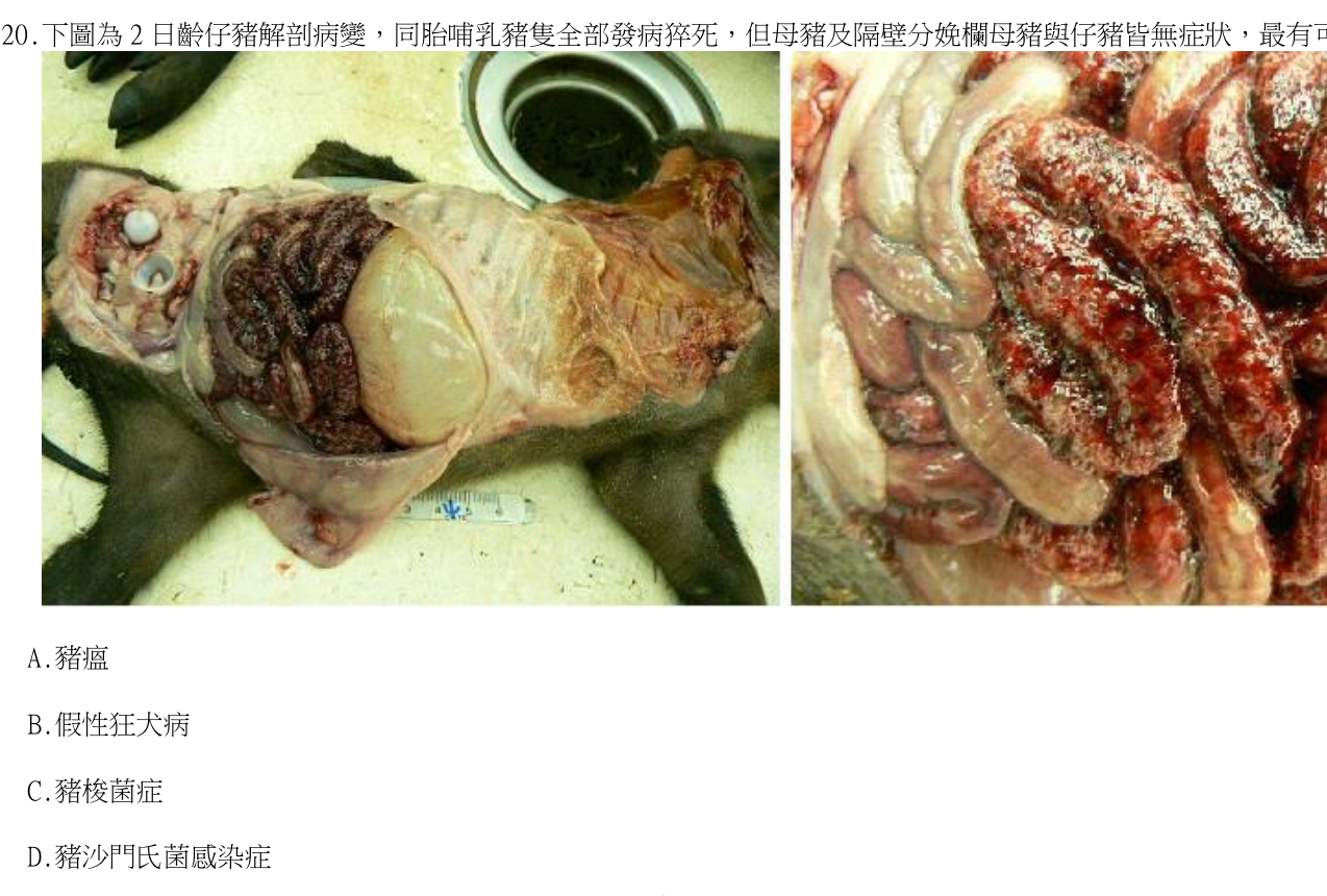 題目附圖