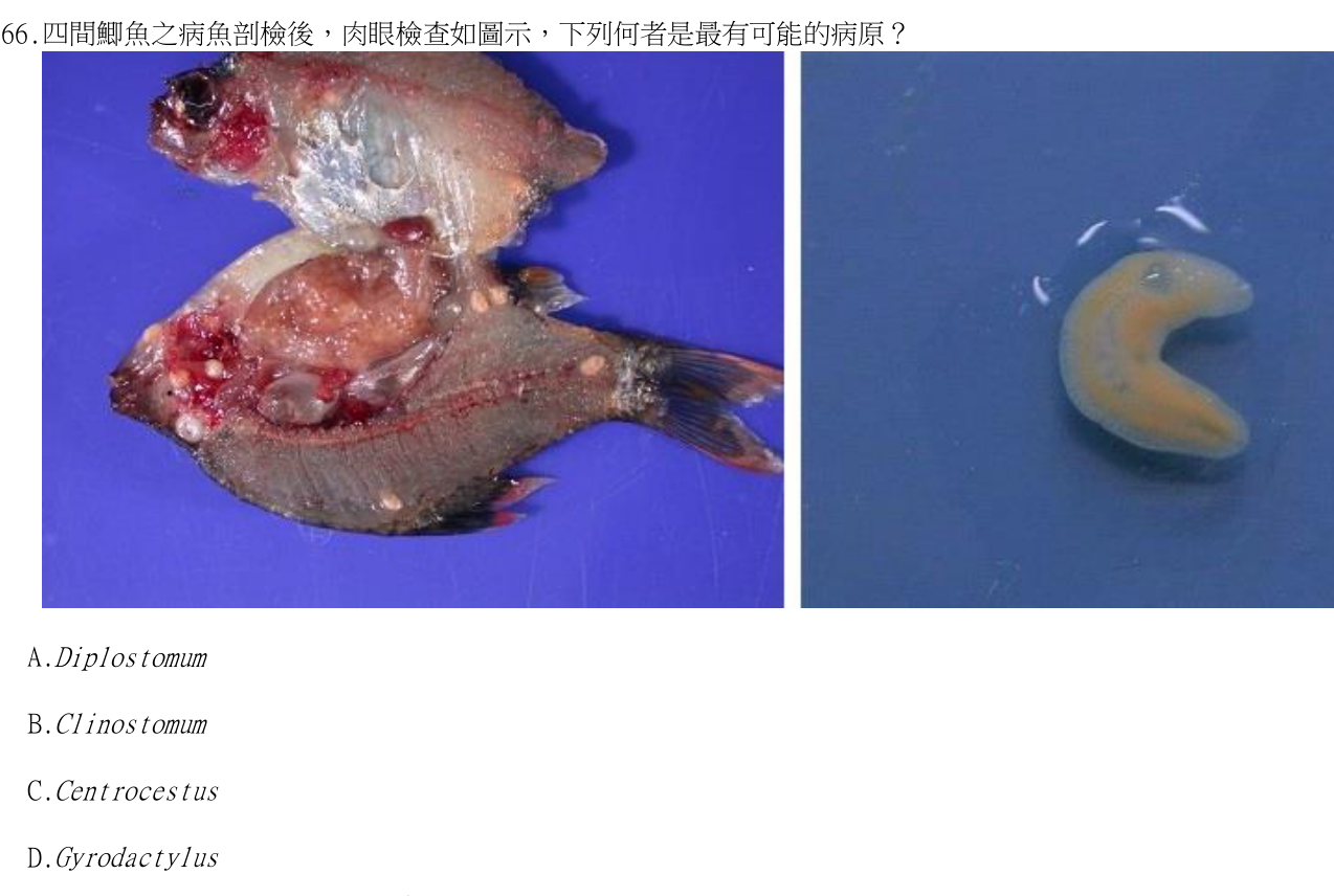 題目附圖