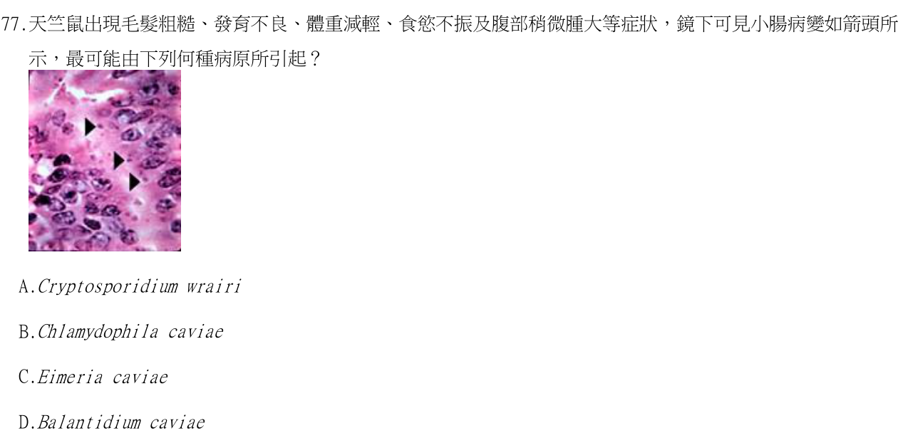 題目附圖