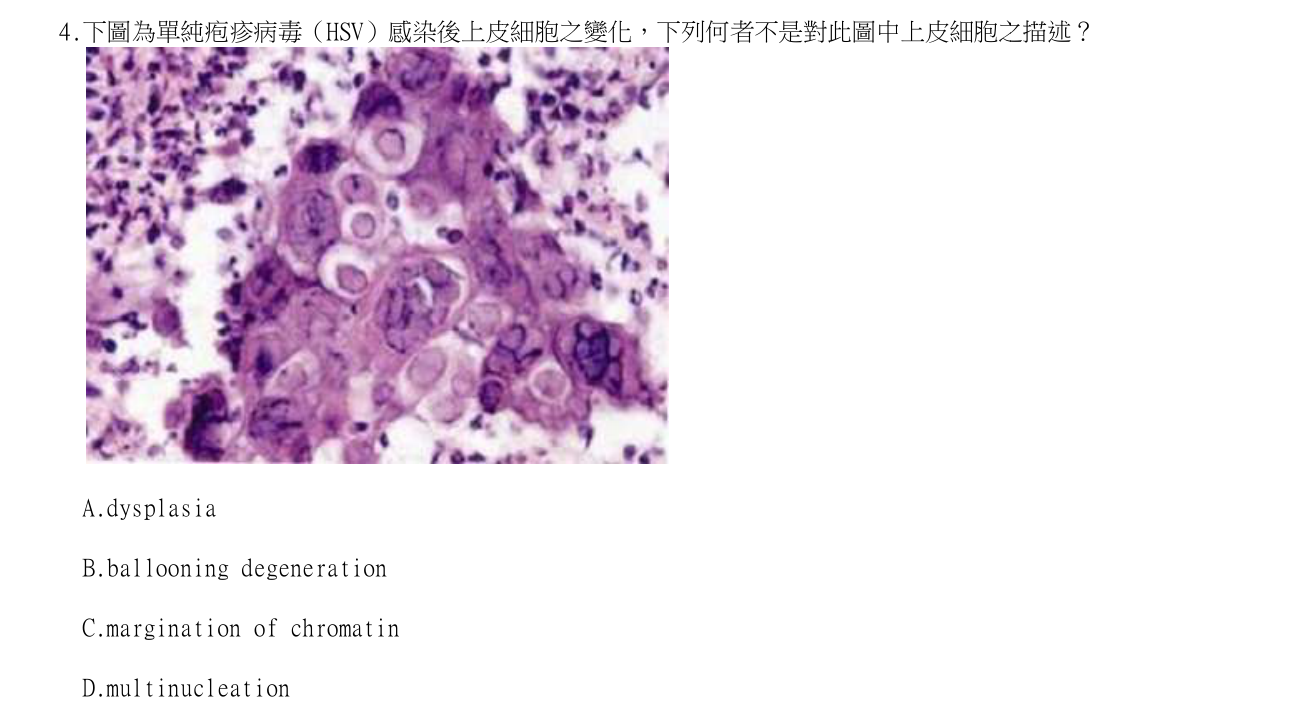 題目附圖