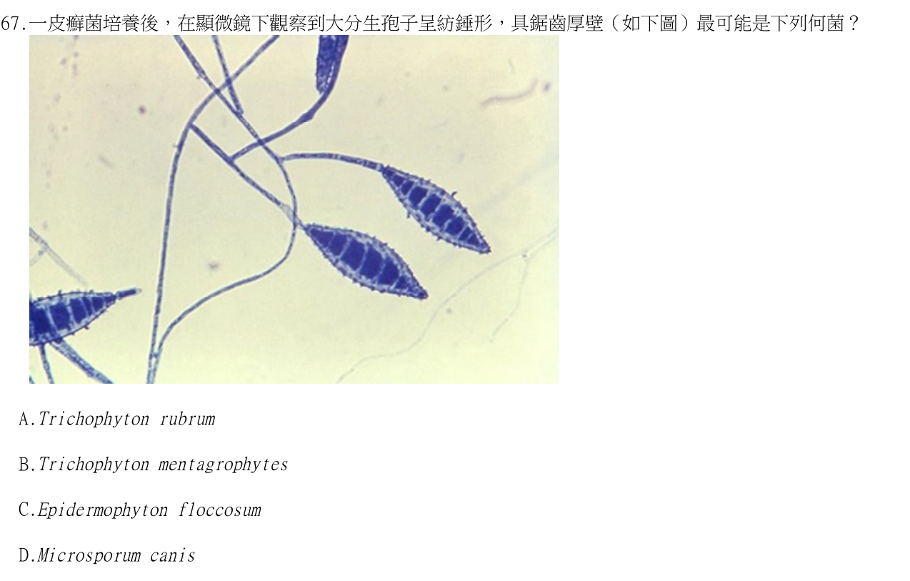 題目附圖