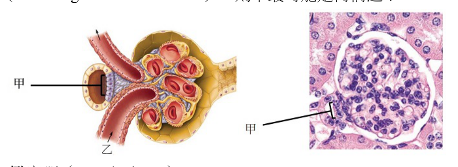 題目附圖