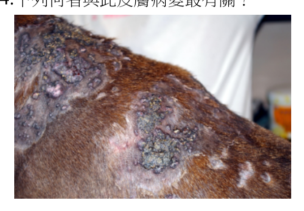 題目附圖