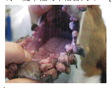 題目附圖