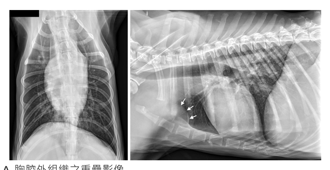 題目附圖