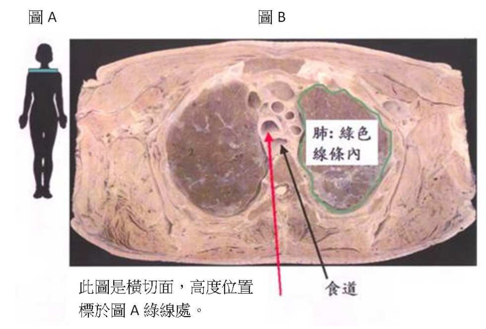 題目附圖