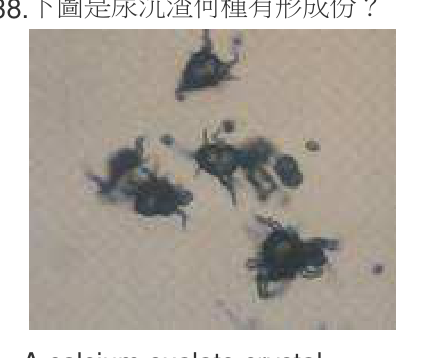 題目附圖