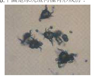 題目附圖