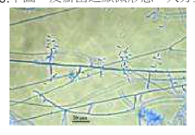 題目附圖