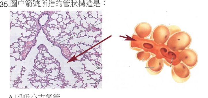 題目附圖