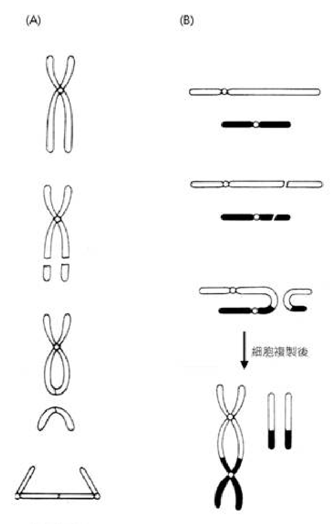 題目附圖