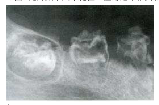 題目附圖