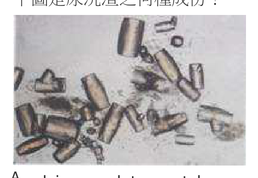 題目附圖