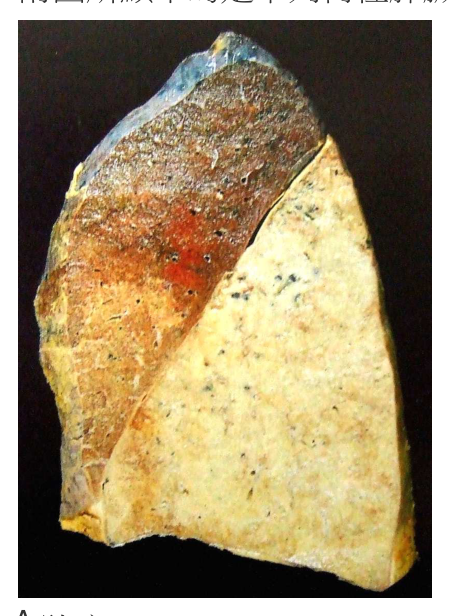 題目附圖