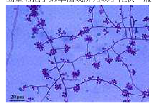 題目附圖