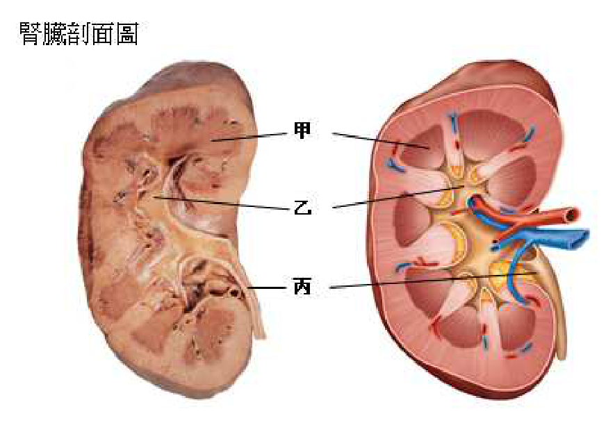 題目附圖