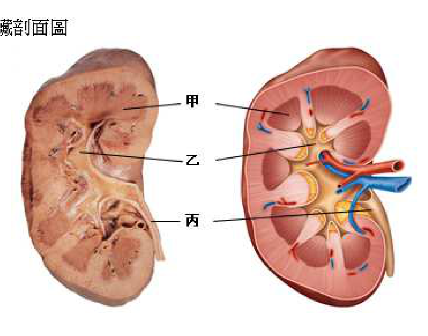 題目附圖