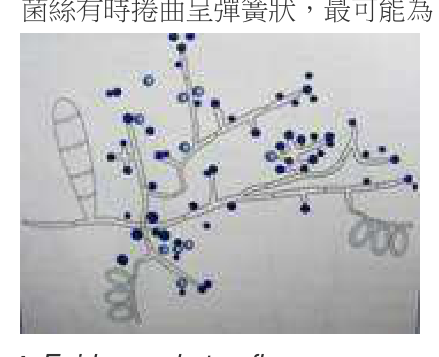 題目附圖