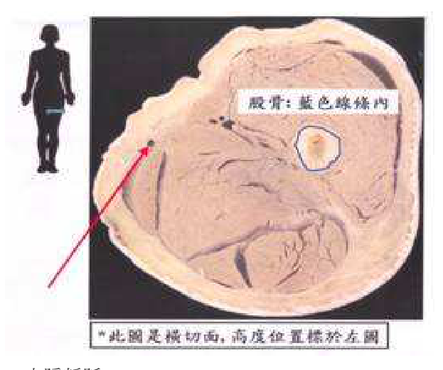 題目附圖