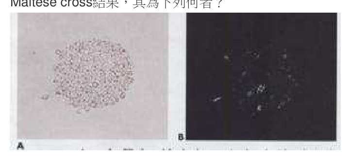題目附圖