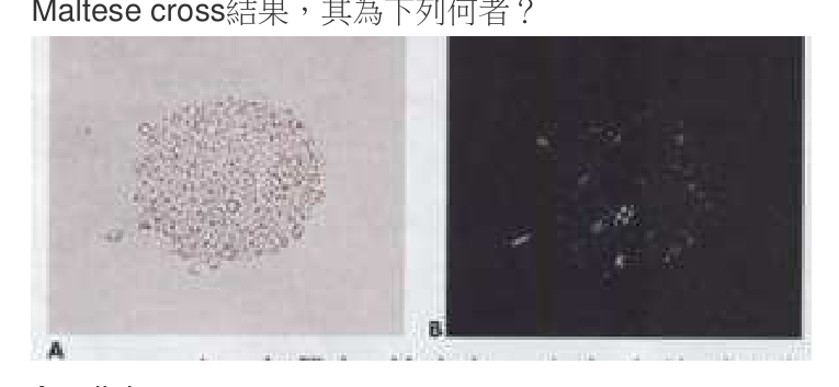 題目附圖