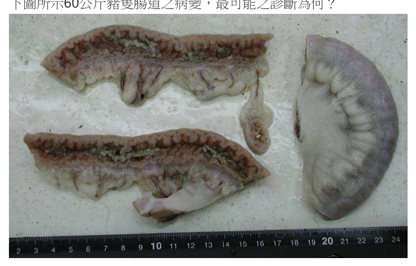 題目附圖