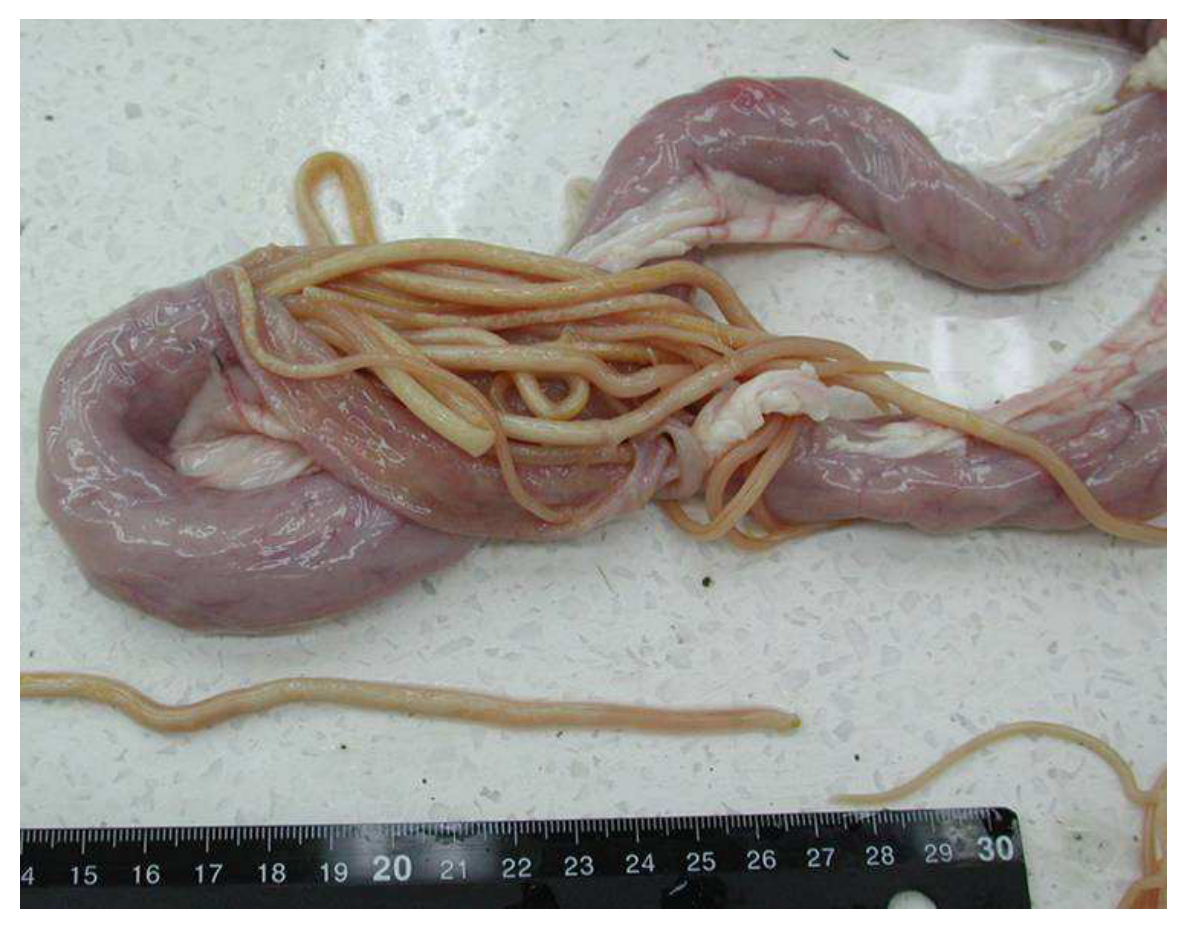 題目附圖
