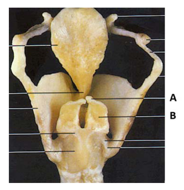 題目附圖